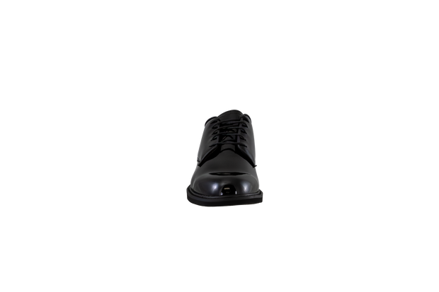 Ambassador Hi-Gloss