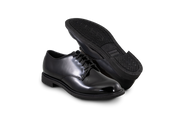 Ambassador Hi-Gloss